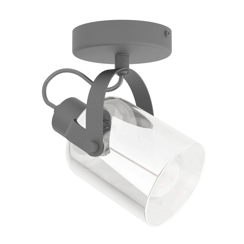 Fizah Black/Transparent Outdoor Armed Sconce
