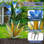 Metal Garden Statue-1677594044