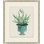 Aloe Pot 8 Print