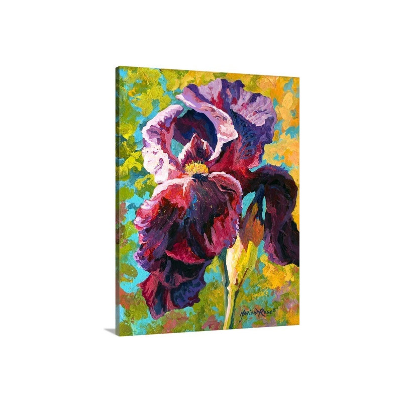 "Ankita Iris Study" par Marion Rose, reproduction d'art sur toile tendue, H 36 po x l 27 po x p 1,5 po