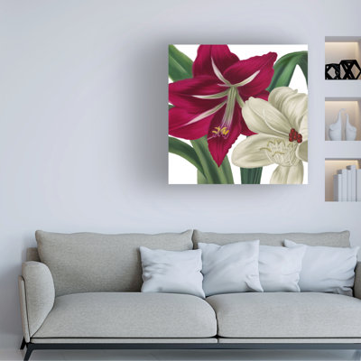 Sasha Christmas Amaryllis I Canvas Art_ALI73290