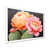 Single Picture Framed Print without Mat n'est pas disponible