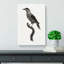 Nutcracker Bird by Jacques Barraband - Wrapped Canvas-55360086