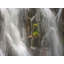 Paradise Falls 1 Print by Bruce Heinemann-65782440-65782441