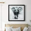 Proud Elephant - peinture encadrée-224129715-224129674
