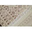 Oriental Area Rug