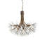 Lustre clair classique / traditionnel-1876450456-1876450457-1876450455