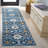 Dalrymple Performance Oriental Rug-24776677