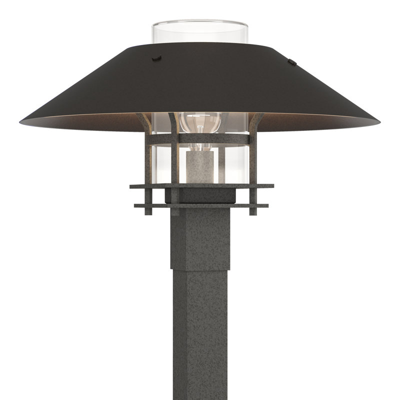Henry 1 - Light 15.8" H Hardwired Lantern Head, Frosted, Coastal Natural Iron, Clear