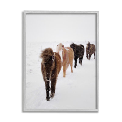 Winter Horses Walking White Field Snowy Weather by Amy Brinkman - Photograph on Canvas