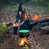 Green est en rupture de stock