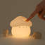 Veilleuse champignon