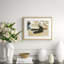 Dove 1 Giclee Print