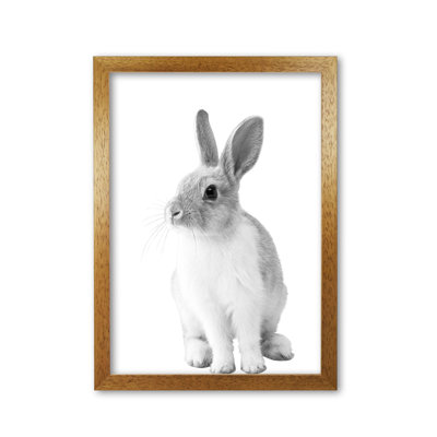 Bunny - Print