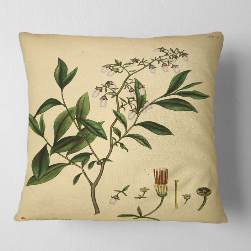 Coussin décoratif Vintage Plant Life, 16" x 16"