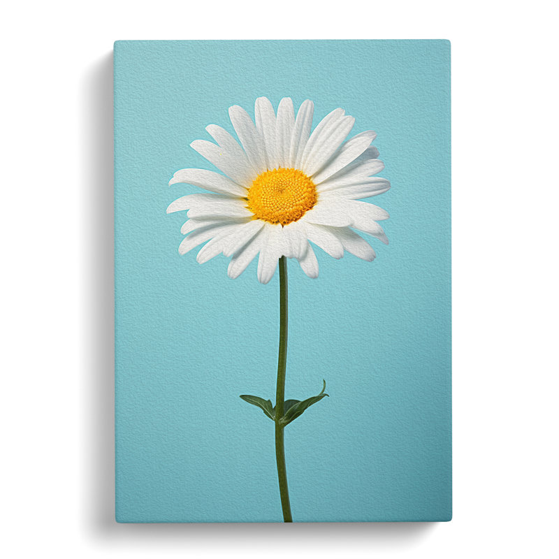 Daisy Minimalism - Wrapped Canvas, 60cm H x 40cm W x 3cm D