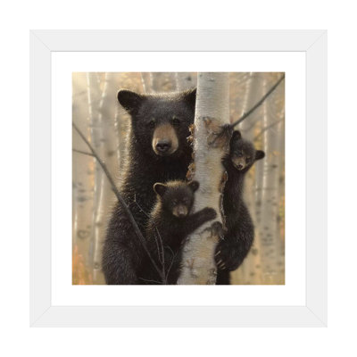 «Mama Black Bear» par Collin Bogle Print