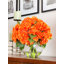 Véritable hydrangée dans un vase-1721809809