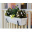 Leia Metal Bracket Plant Stand-145574798