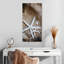 Amalric Starfish Love-112792149