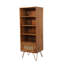 Chetram 1 Drawer Rattan SLim Bookshelf