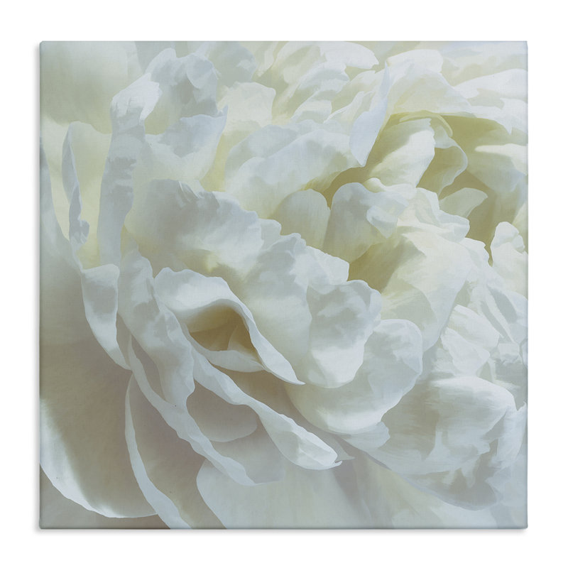 Élégante toile à pétales blancs, design par David Pollard, H 24 po x l 24 po