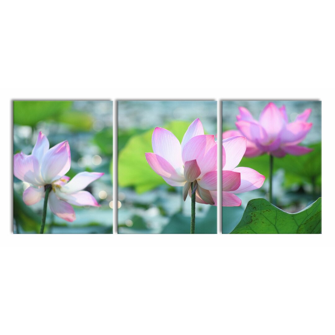 3-tlg. Leinwandbilder-Set Pink Lotus Flower in Pond