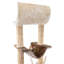 Arbre à chat 42 po multi-niveaux