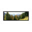 " Larch Trees With A Mountain Range In The Background, Dolomites, Cadore, Province Of Belluno, Veneto, Italy " by Panoramic Images-19975844-71988914