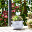 Sagebrook Home 8" White Ceramic Tapered Bubble Planter-1310737281-1310737282-1310737285