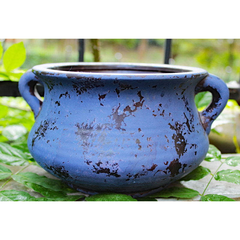Pot Planter, Purple