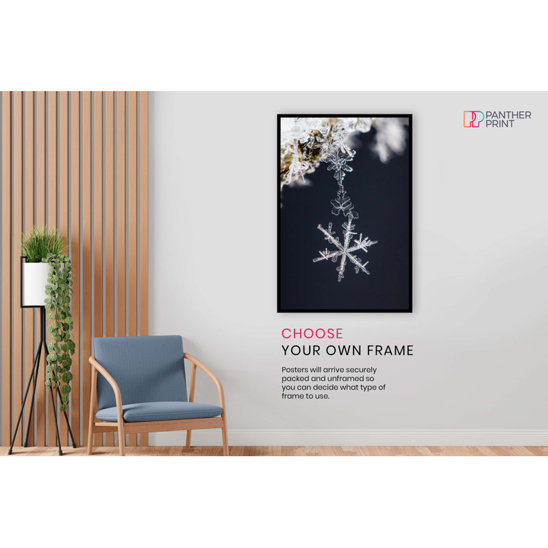 Rime And Snowflake Close Up - No Frame Print, 31cm H x 20cm W