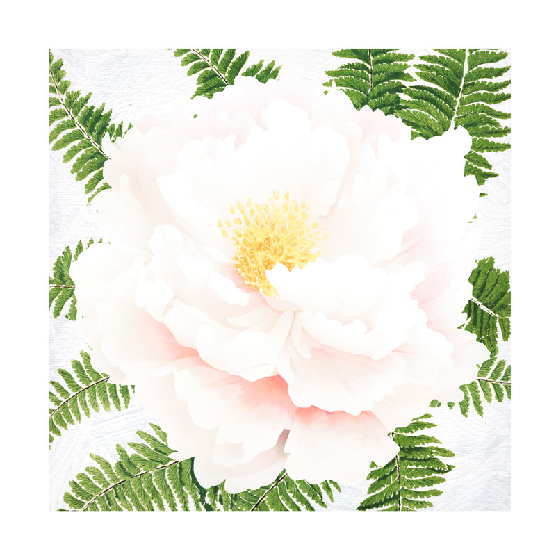 Art sur toile pivoine fraîche bolologia I, H 14 po x l 14 po