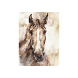 In The Zone Print by Beverly Fuller