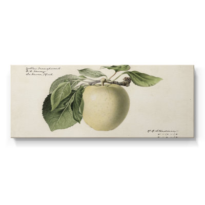 Botanical Series-CDXLIX- Gallery Wrapped Canvas -Ready to Hang