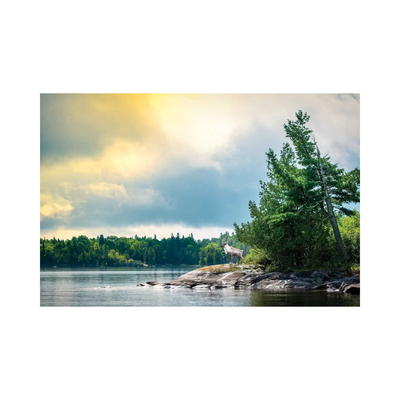 Caribou Posing on the Shore of Lake 1 Piece Wrapped Canvas Wall Art, 101.6 cm H x 66.04 cm W x 3.175 cm D
