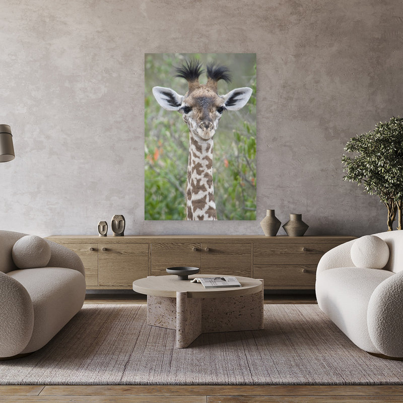 Gros plan d'une petite girafe, Giraffa Camélopardalis, Tanzanie, art contemporain, H 48 po x l 32 po