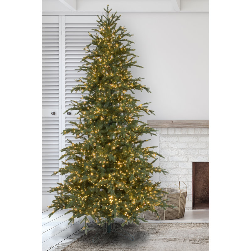 Sapin nordique éclairé par Forevertree, 9 pi