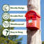 Post Box Bird House Letter Box