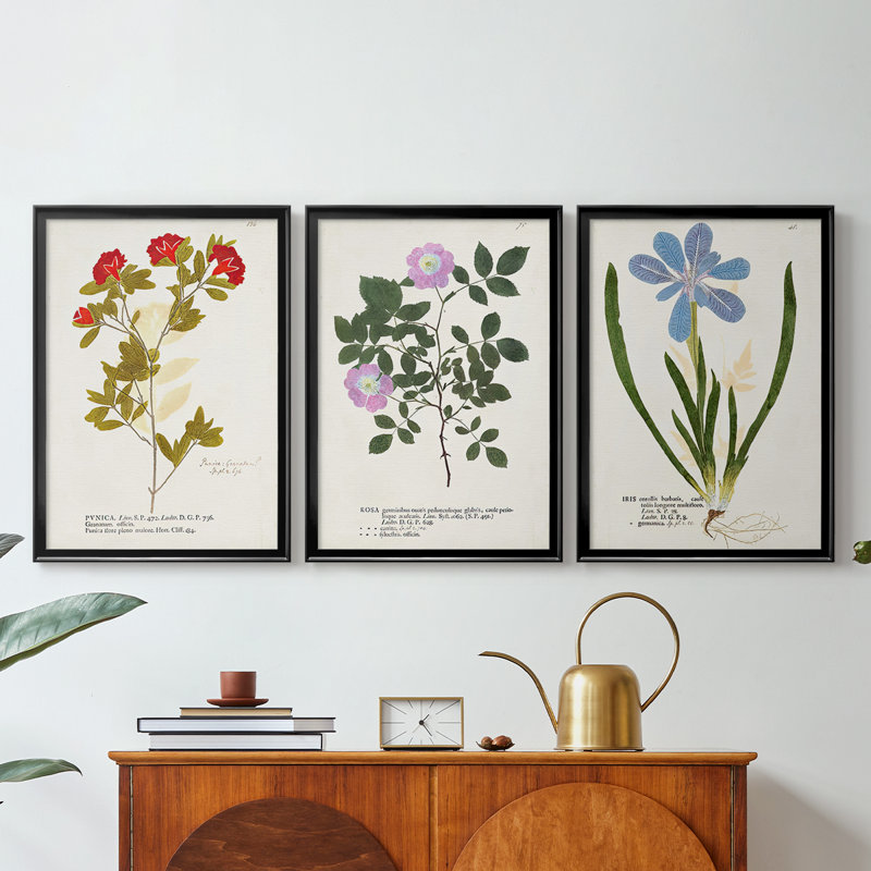 Nature imprimé Botanicals VIII - Toile tendue avec châssis sur mesure - 3 pièces, Noir, H 19 po x l 45 po