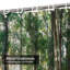 Rideau de douche Tree Sunlight Forest-798091006