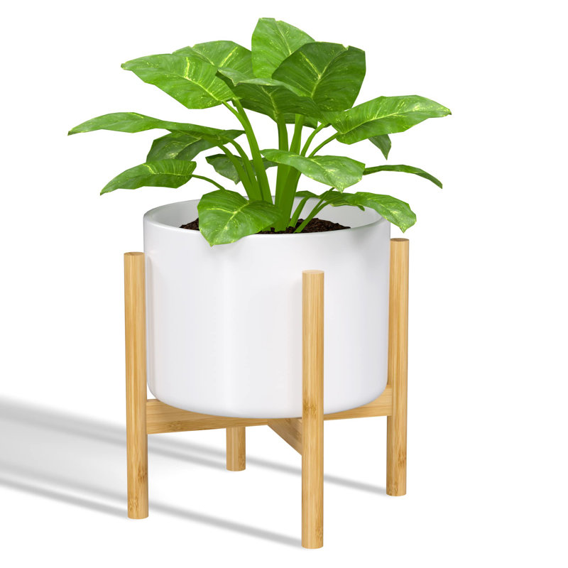 Demarkus Wood Plant Stand, 12.6" H x 12.6" W x 12.6" D