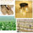 Rattan Flush Mount-677811575