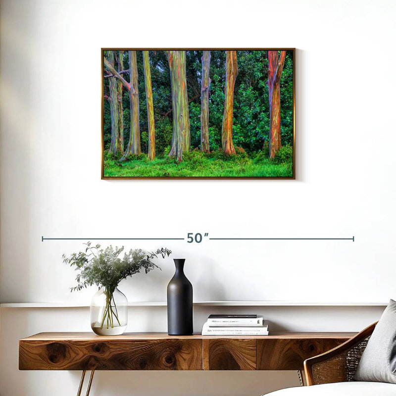 Eucalyptus arc-en-ciel, Cadre flottant doré, 31 po x 21 po