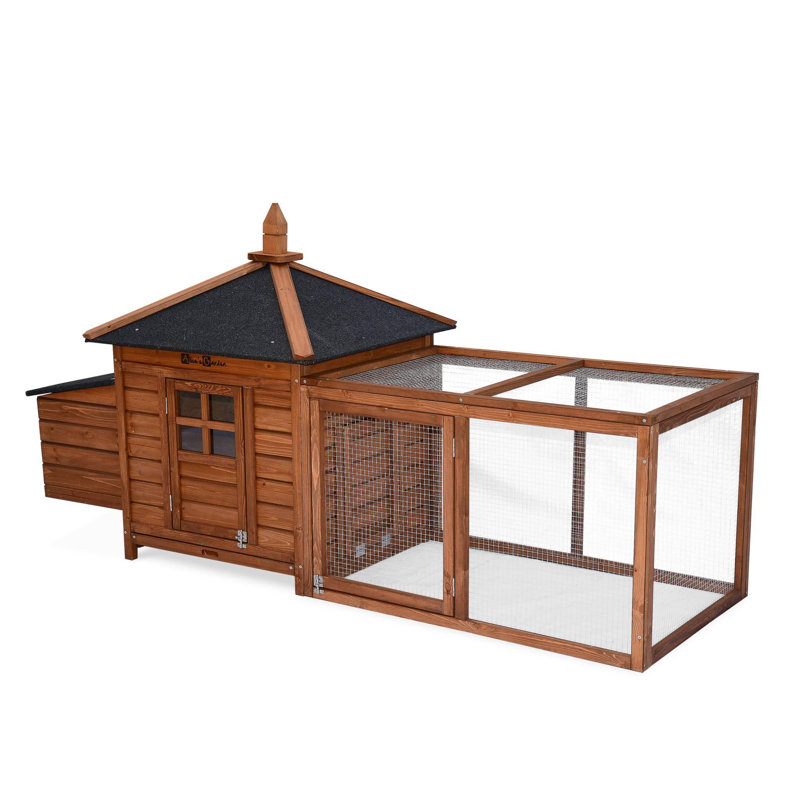 Jodie Chicken Coop with Chicken Run