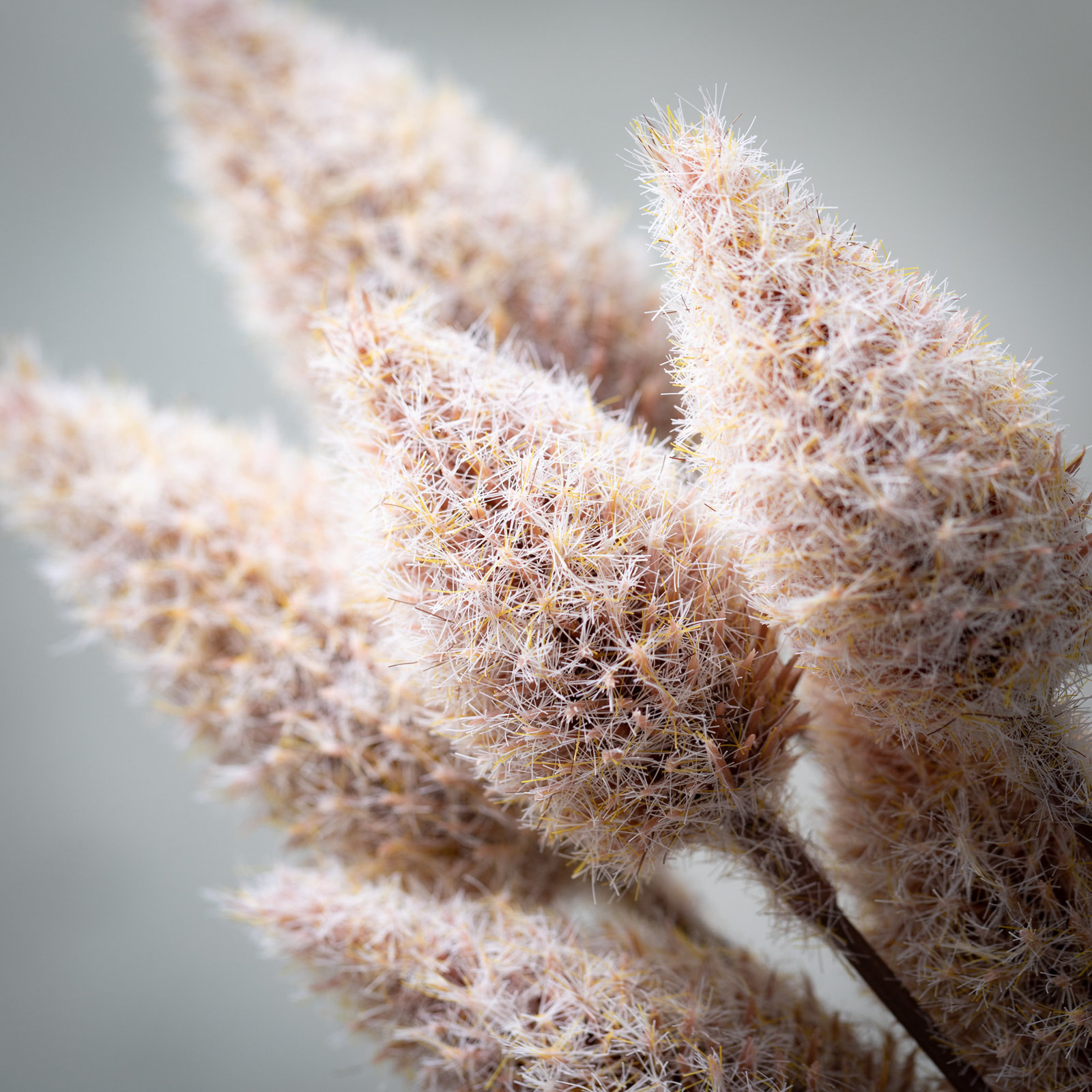 Madie Rose Blush Cone Stems