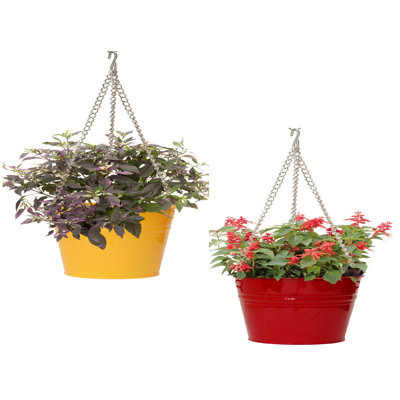 Enameled Galvanized Steel Hanging Planter