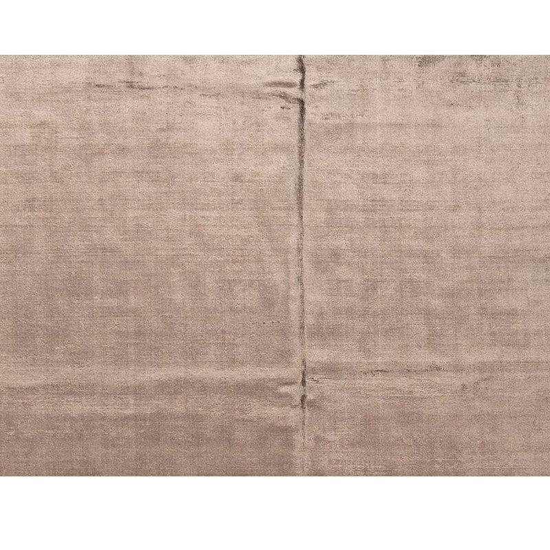 Area Rug in Beige