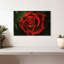 Élégante rose rouge rosée-107693583