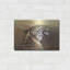 «Wildness Tiger» par Karen Smith-2096350983